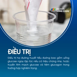 Hạ đường huyết tiểu đường 6