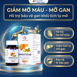 Viên hỗ trợ giảm mỡ máu, mỡ gan Hamogan Tuệ Linh (30 viên) 4