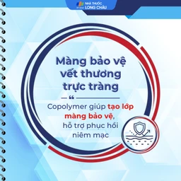 Viên đặt hậu môn, trực tràng Healit Rectan (10 viên) giúp thúc đẩy nhanh quá trình lành vết thương