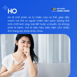 Ho 1