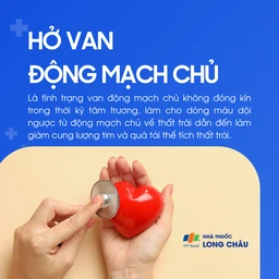 Hở van động mạch chủ 1
