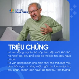 Hở van động mạch chủ 2
