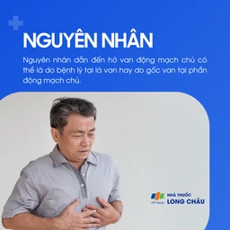 Hở van động mạch chủ 3