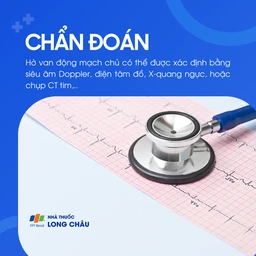 Hở van động mạch chủ 5