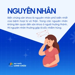 Hoại tử vỏ thận 3