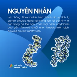 Hội chứng Abercrombie 3