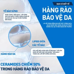 Kem dưỡng ẩm cho da khô Cerave Moisturising Cream 340g
