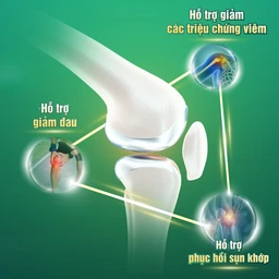Viên làm trơn khớp và phục hồi sụn khớp Khương Thảo Đan Gold (30 viên) 3