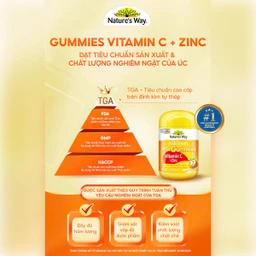 Viên nhai hỗ trợ sức đề kháng Kids Smart Vita Gummies Vitamin C + Zinc Nature's Way (60 viên) 9