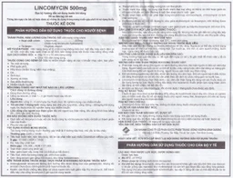 Thuốc Lincomycin 500mg Vidipha điều trị nhiễm khuẩn tai mũi họng, phế quản, phổi (10 vỉ x 10 viên)