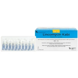 Thuốc tiêm Lincomycin Kabi điều trị nhiễm khuẩn nặng (50 ống x 2ml) 1
