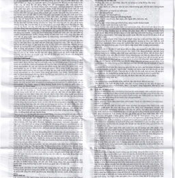 Viên nén Lipistad 20 Stella điều trị tăng cholesterol máu (3 vỉ x 10 viên)