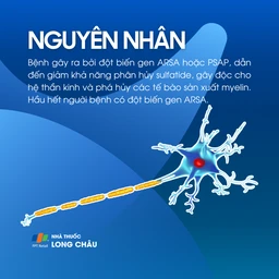 Loạn dưỡng bạch cầu dị sắc 3