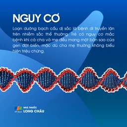 Loạn dưỡng bạch cầu dị sắc 4
