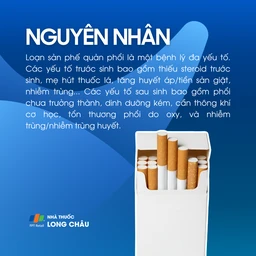 Loạn sản phế quản phổi 3