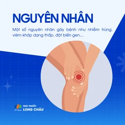 Mạch máu tinh bột 3