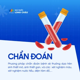 Mạch máu tinh bột 5