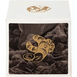 Mặt nạ nghệ hưng yên Cocoon 100ml