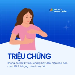 Mô vú dày đặc 2