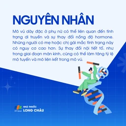 Mô vú dày đặc 3