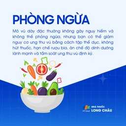 Mô vú dày đặc 7