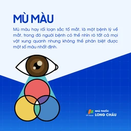 Mù màu 1