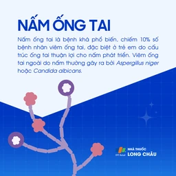 Nấm ống tai 1