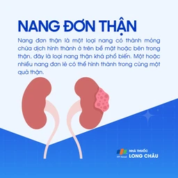 Nang đơn thận 1