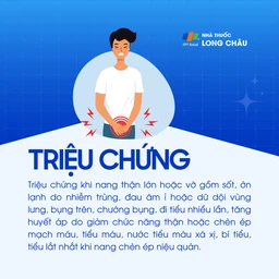 Nang đơn thận 2