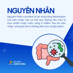 Nhiễm Balantidium 3