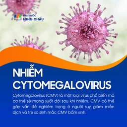 Nhiễm Cytomegalovirus 1