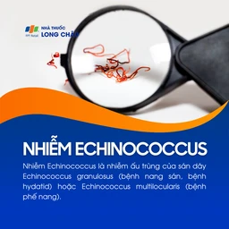 Nhiễm Echinococcus 1