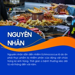 Nhiễm Echinococcus 3