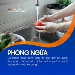 Nhiễm Echinococcus 7