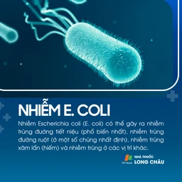 Nhiễm Ecoli 1