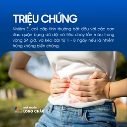 Nhiễm Ecoli 2