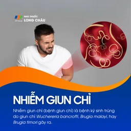 Nhiễm giun chỉ 1