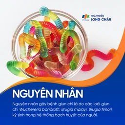 Nhiễm giun chỉ 3