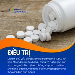 Nhiễm giun chỉ 6