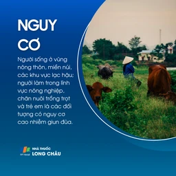 Nhiễm giun đũa 4