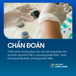 Nhiễm giun đũa 5