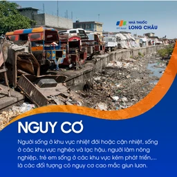 Nhiễm giun lươn 5