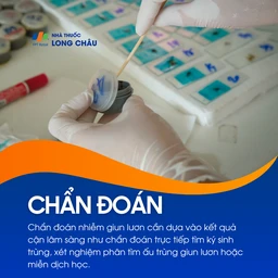 Nhiễm giun lươn 6