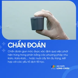 Nhiễm giun móc 5