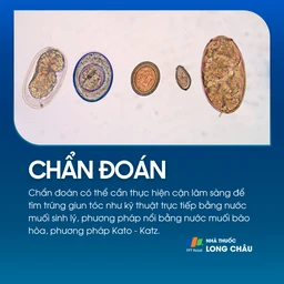 Nhiễm giun tóc 5