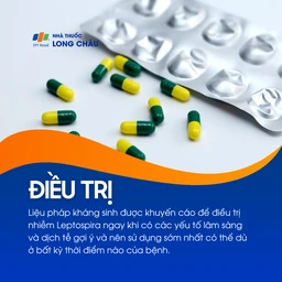 Nhiễm Leptospira 6