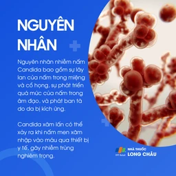 Nguyên nhân nhiễm nấm Candida do lây lan từ miệng, cổ họng, âm đạo hoặc phát ban tã; có thể gây nhiễm trùng nghiêm trọng nếu vào máu
