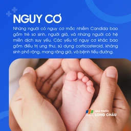 Người có nguy cơ cao bị Candida gồm trẻ sơ sinh, người già, người suy giảm miễn dịch, bệnh nhân ung thư, tiểu đường, dùng kháng sinh kéo dài