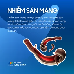 Nhiễm sán máng 1