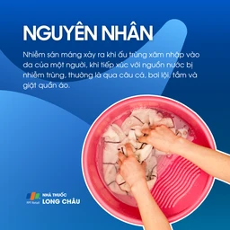 Nhiễm sán máng 3